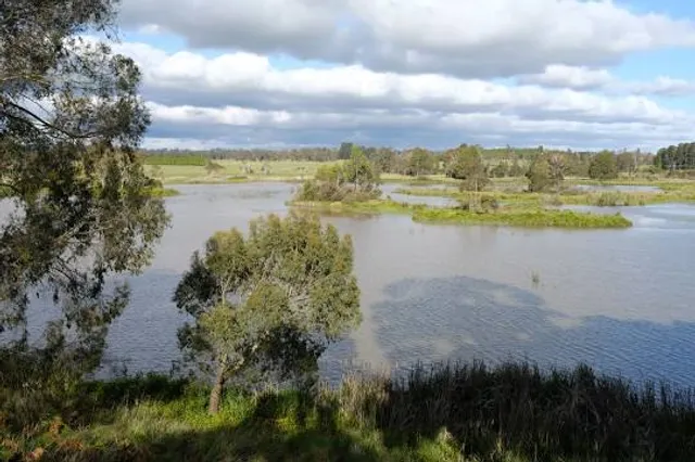Cecil Hoskins Nature Reserve