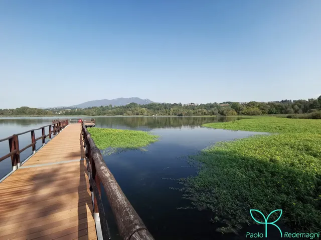 guida escursionistica naturalistica - Parco del Ticino