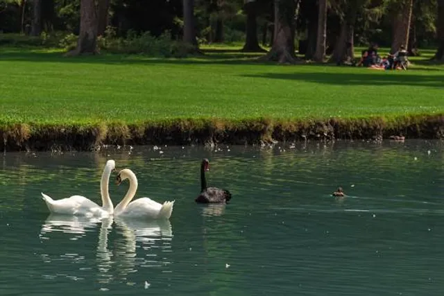 Castle Park of Vizille