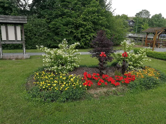 photo-3