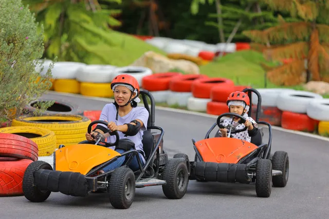 Jungle Adventure Park