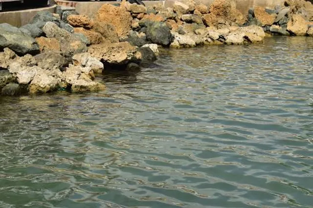 photo-1