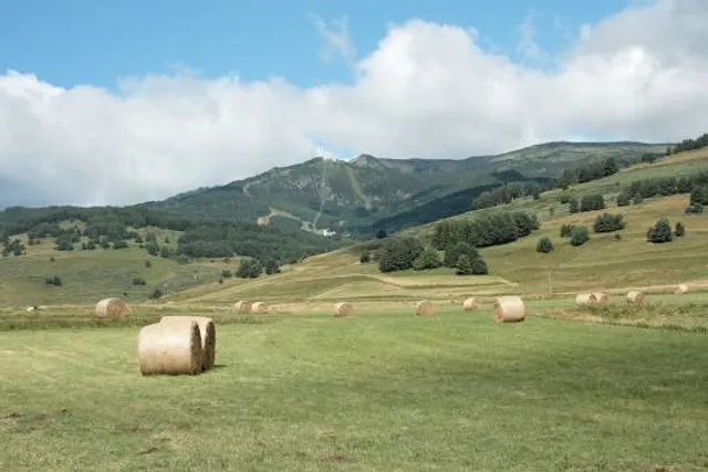 Castle of Contignaco