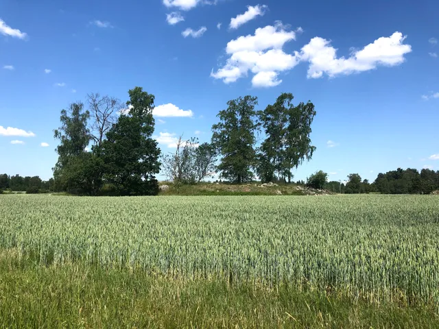 Täby prästgård Naturreservat