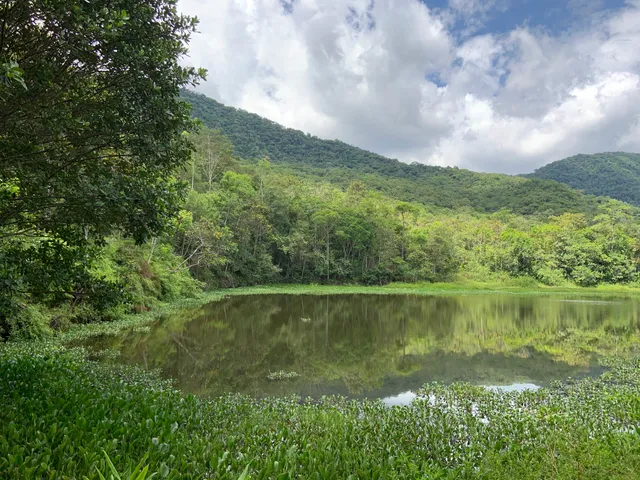Parque Natural Municipal Nascentes do Garcia