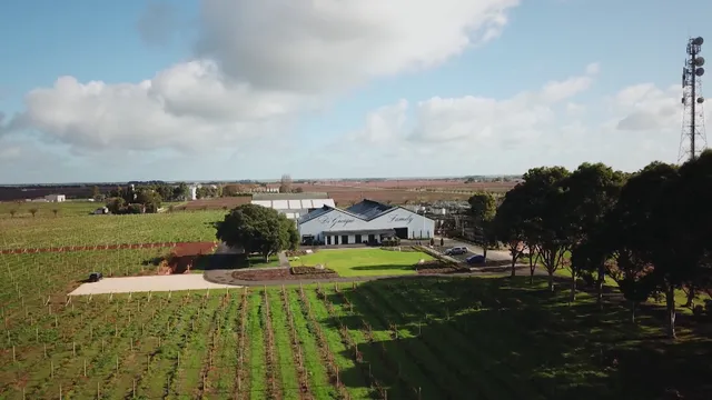 DiGiorgio Family Wines