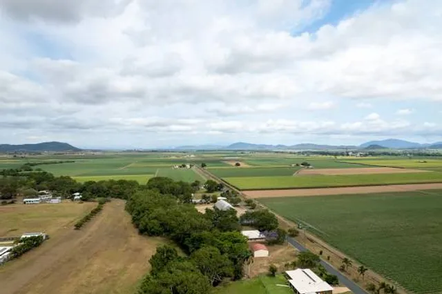 ミズトミドリノヤカタテンボウタワー