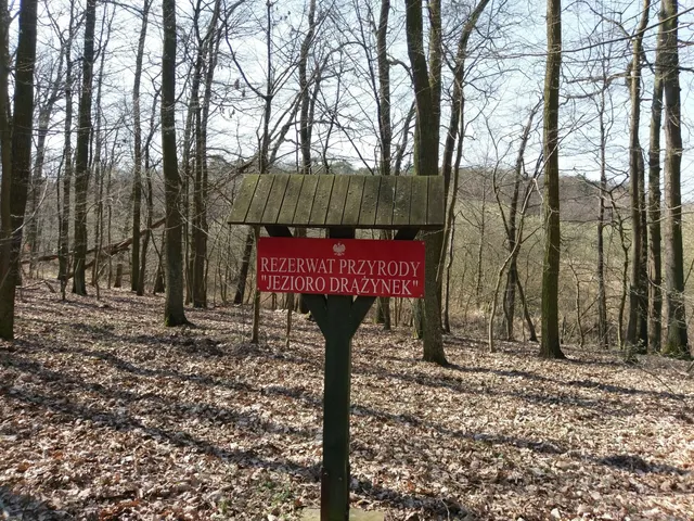Rezerwat przyrody Jezioro Drążynek