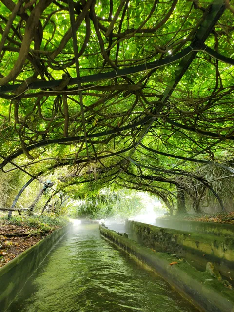 La Rivière Enchantée