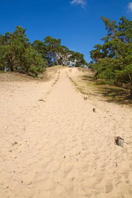 Binnendünen bei Klein Schmölen