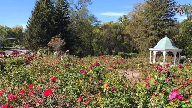 Richmond Rose Garden