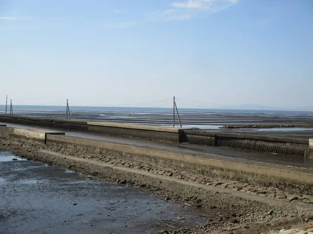 Okoshiki Beach Observatory