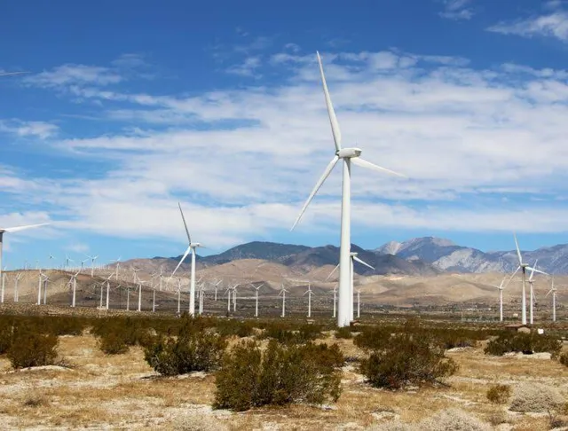 Palm Springs Windmill Tours