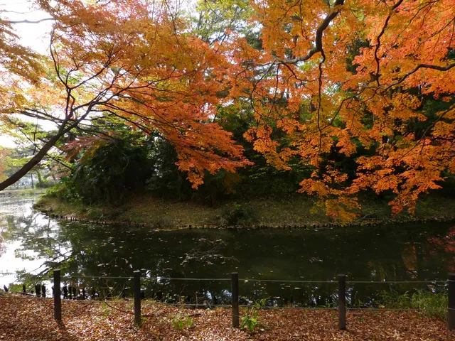 Shōgun Pond Park