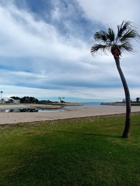 Sea of ​​Yamaguchi Kirara Expo Memorial Park month