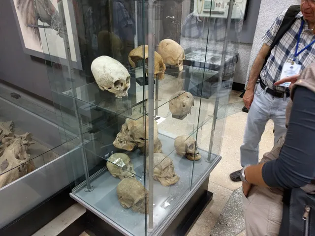 Museum of archeology and ethnography of the Altai