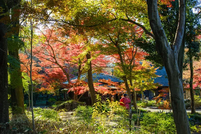 Forest of Suisokuken