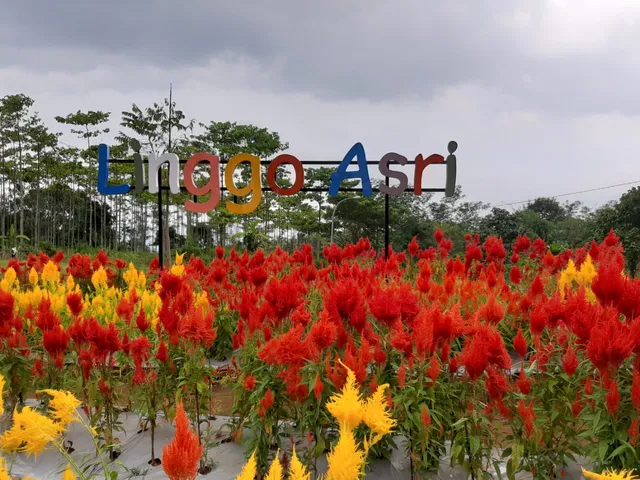 OBYEK WISATA LINGGOASRI