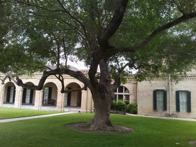 photo-2