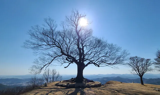 Buyeo Garimseong Fortress(Seongheung Sanseong Fortress)