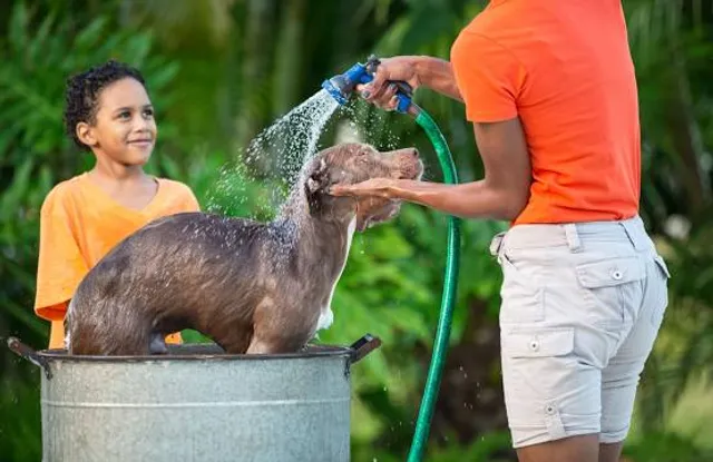 Salisbury Zoological Park