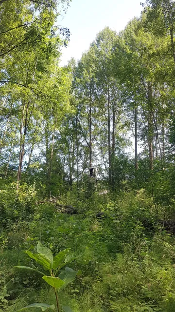 photo-2