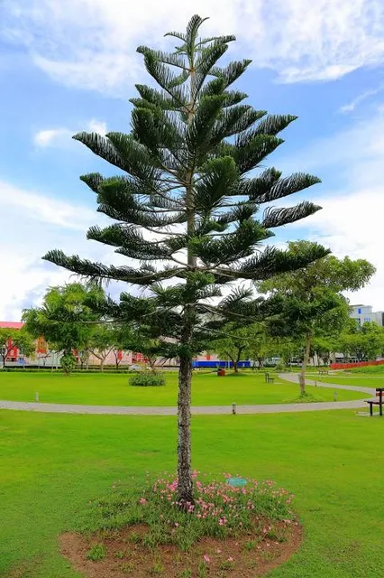 place image