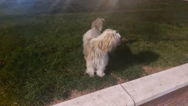 Plaza de la Corona Boreal