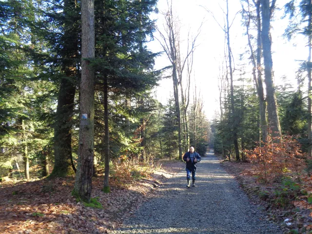 Rezerwat przyrody Liwocz 31