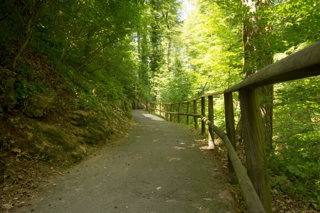 photo-2