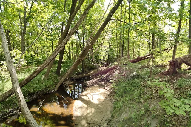 Pilgrim Haven Natural Area