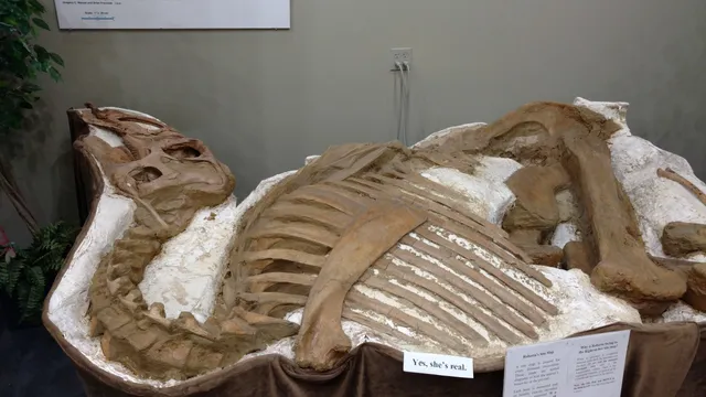 Great Plains Dinosaur Museum