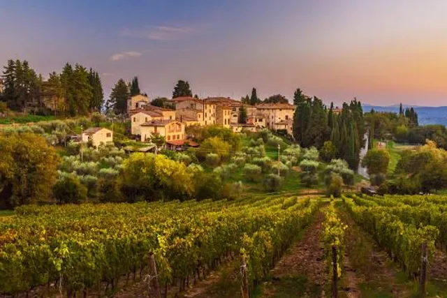 Marchesi Mazzei Cellar