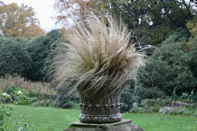 Inveresk Lodge Garden (National Trust for Scotland)