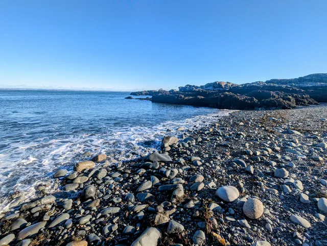 Bog Brook Cove Trails