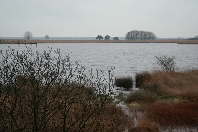 Vogelkijkhut Davidsplassen