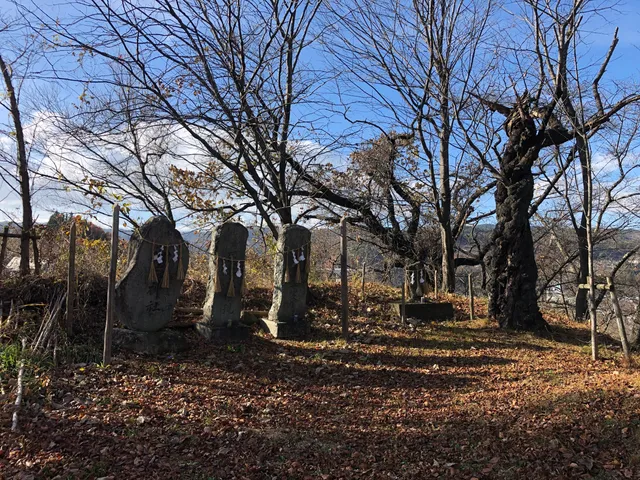Hanaoka Castle Ruins (Hanaoka Park)
