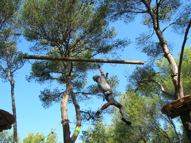 Le Royaume des Arbres - Charleval