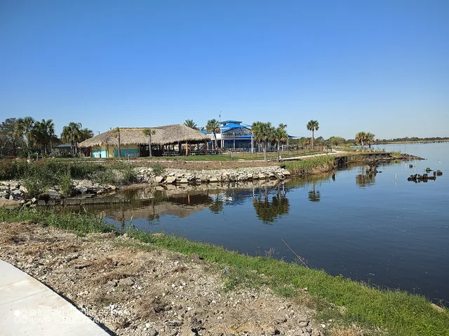 Texas Artists Museum