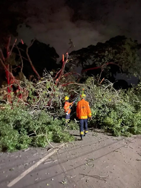 Parque Granja do Torto