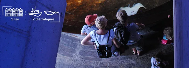 Mareis - Sea Fishing Discovery Center