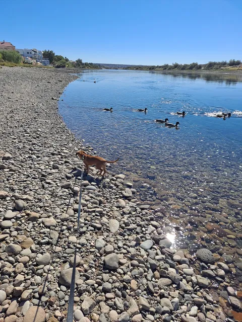 Rotary Park Pickleball Courts