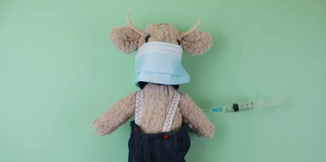 Municipio de Plaza Huincul