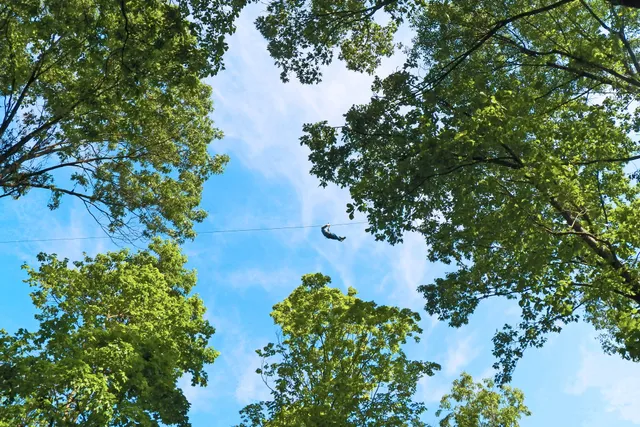 Grafton Zipline at Aerie's Resort