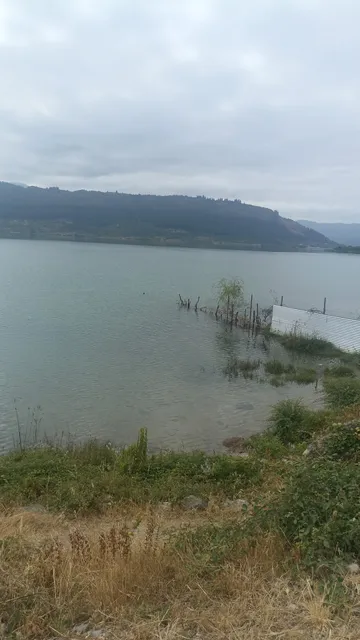 Lago machicura