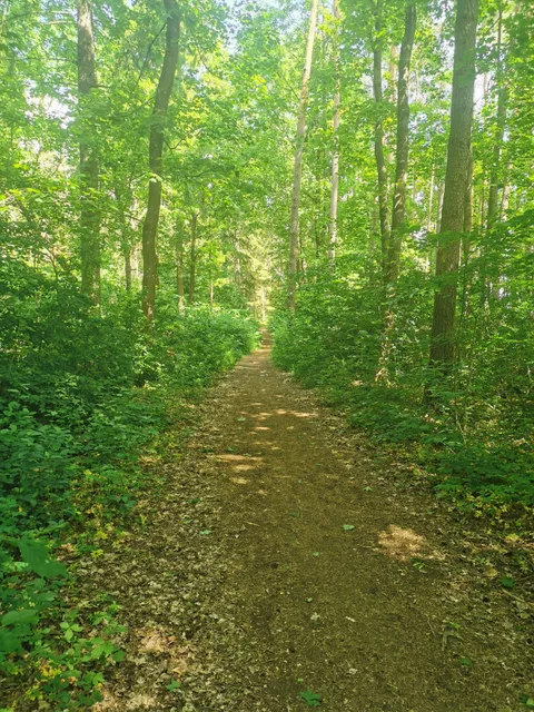 Gröngarnsåsen-Dyarna