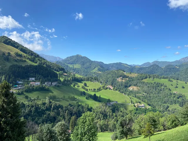 Il sentiero dei grandi alberi