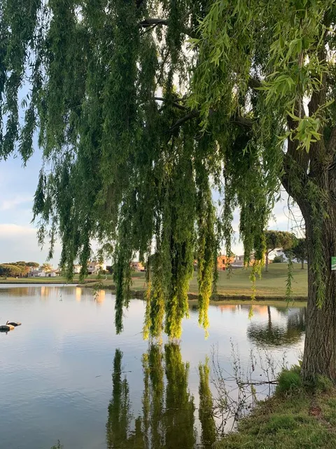 Pareado Loma Sancti Petri