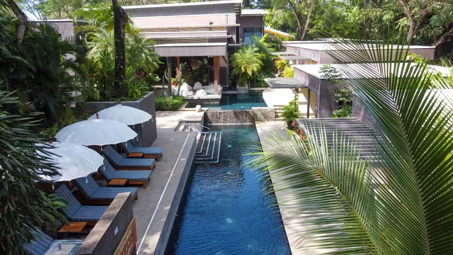 The White Palms of Nosara