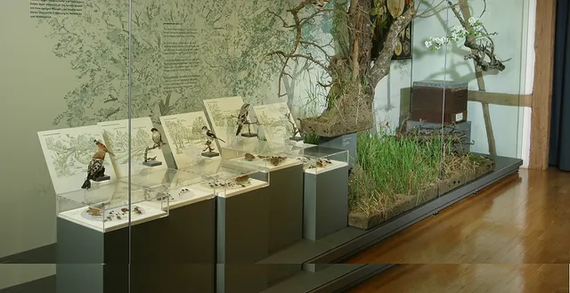 Naturkundemuseum Reutlingen